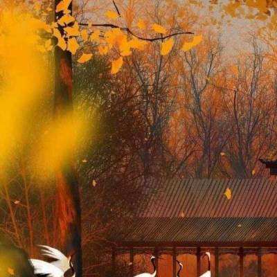 文明与秩序手游下载